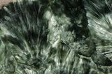 Polished Seraphinite Slab - Siberia #183516-1